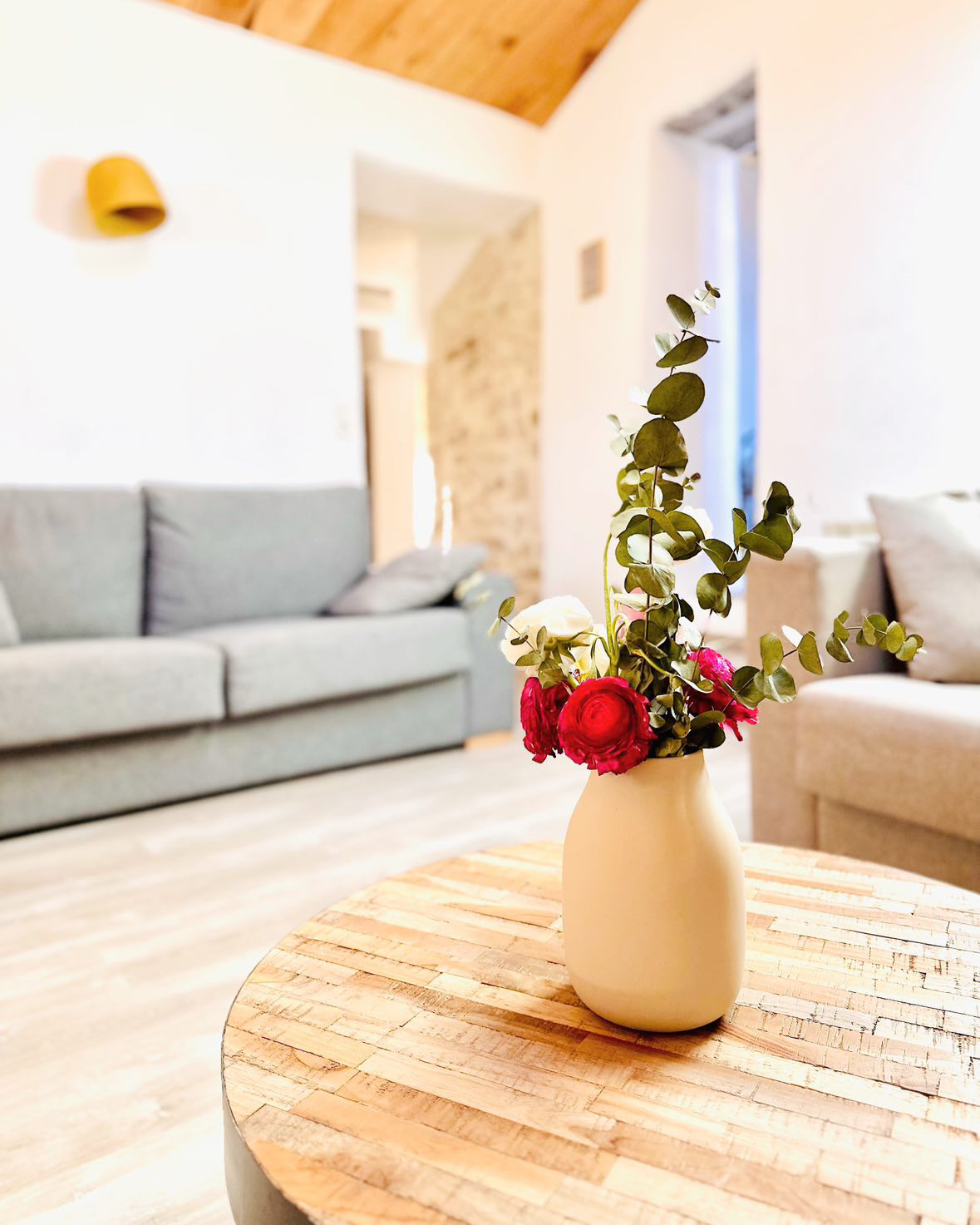 Salon avec deux canapés-lits, 2 chambres dans le luberon en Provence à Oppedette